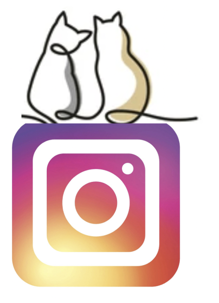 Instagram icon
